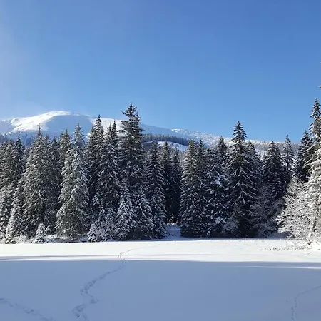 Chalety Jasna Bor 아파트호텔 데마노브스카돌리나