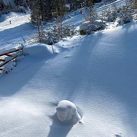 Lejlighedshotel Chalety Jasna Bor