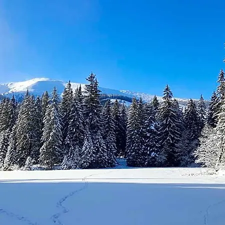 شقة فندقية Chalety Jasna Bor 4*